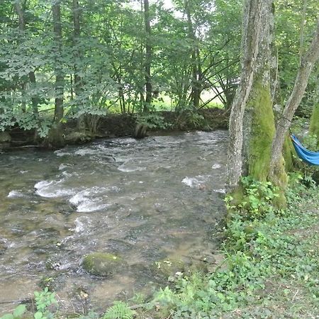 Chalet By The River Valiug Bagian luar foto