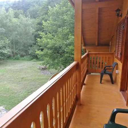 Chalet By The River Valiug Bagian luar foto