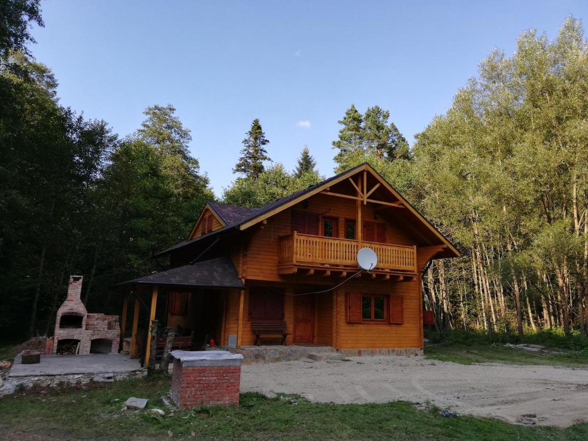 Chalet By The River Valiug Bagian luar foto