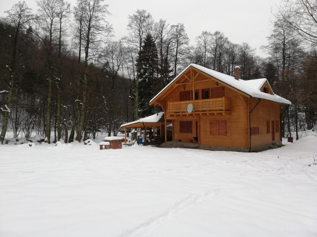Chalet By The River Valiug Bagian luar foto