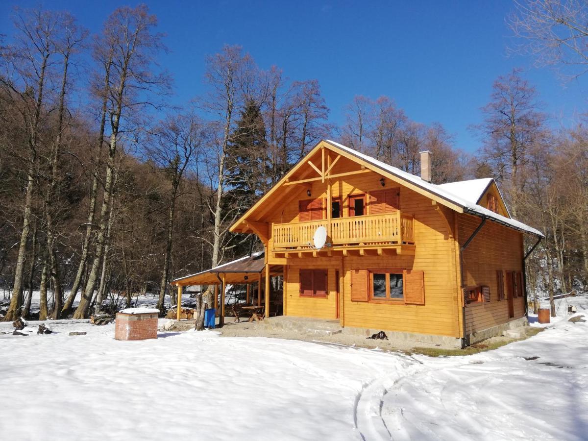 Chalet By The River Valiug Bagian luar foto
