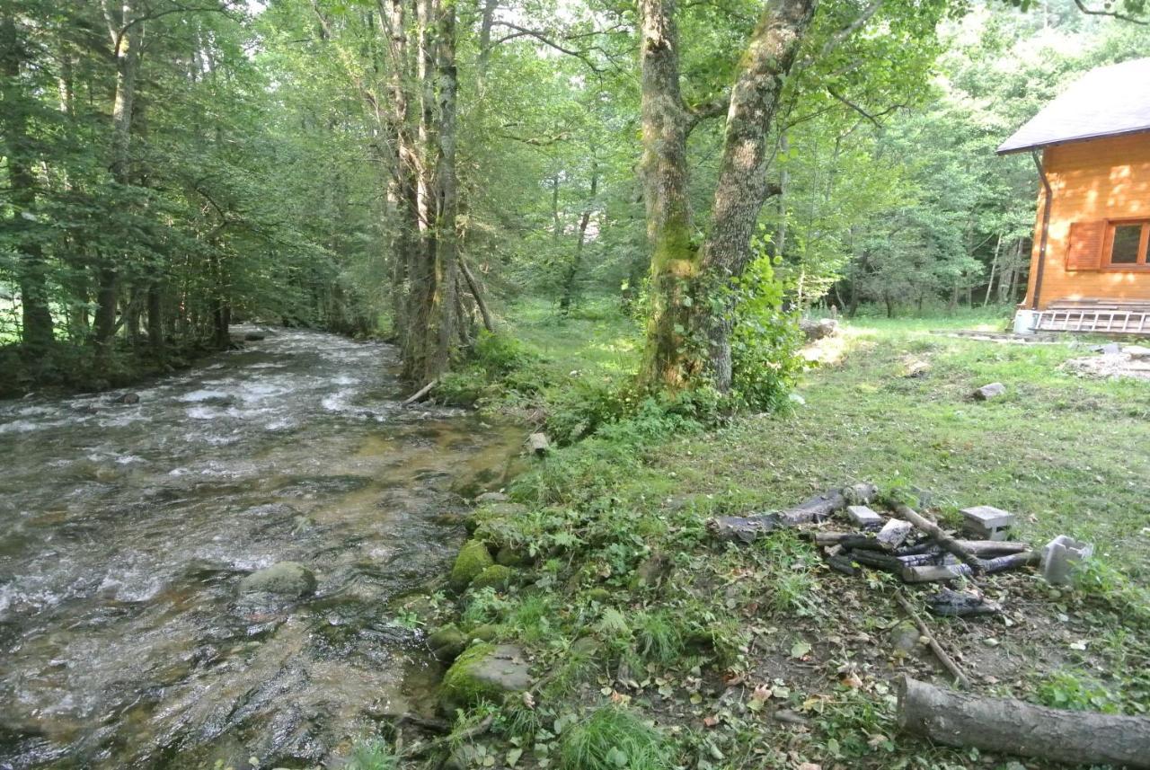 Chalet By The River Valiug Bagian luar foto