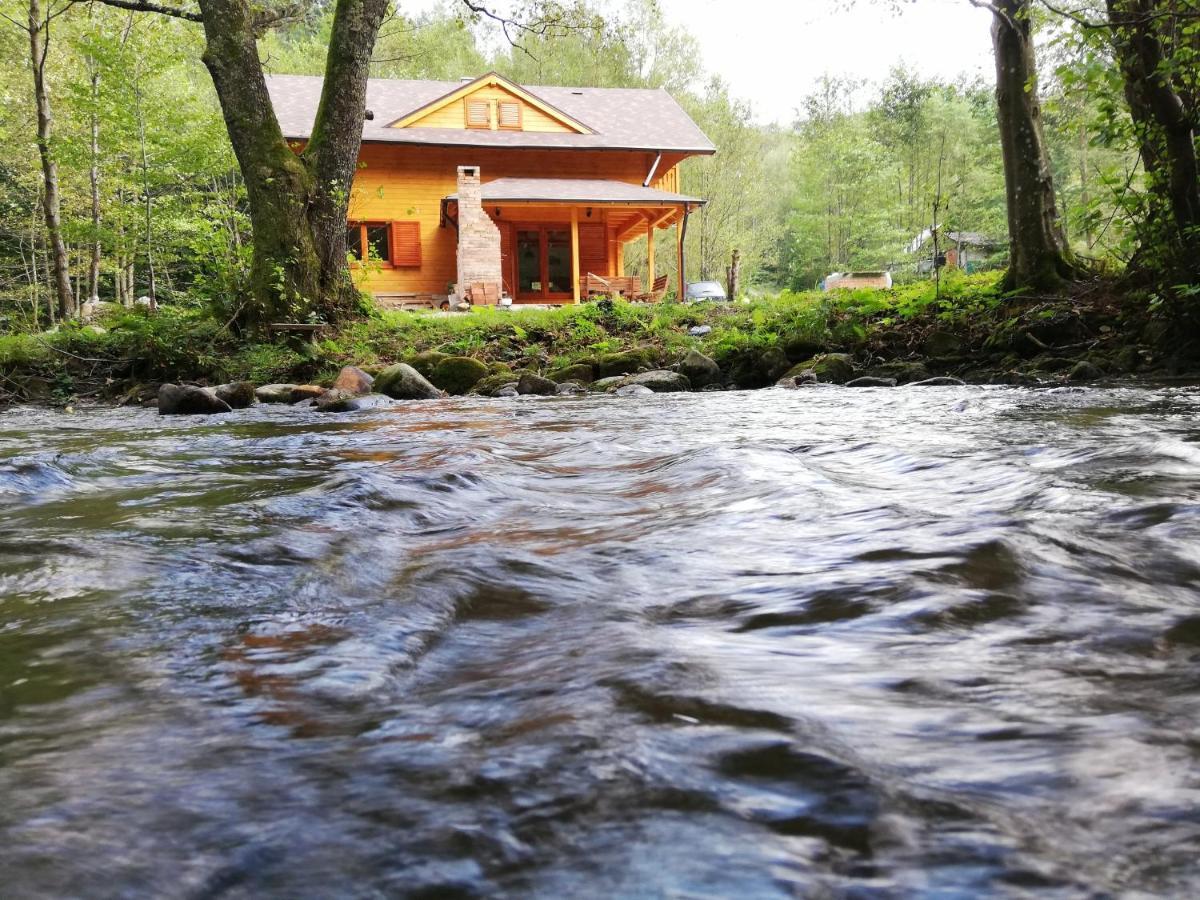 Chalet By The River Valiug Bagian luar foto