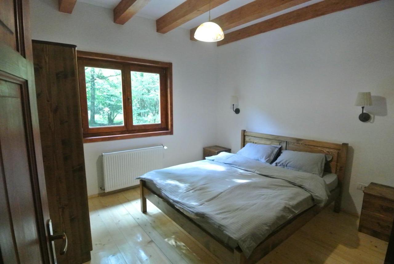 Chalet By The River Valiug Bagian luar foto