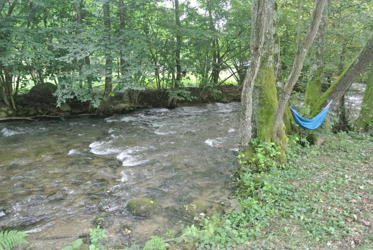 Chalet By The River Valiug Bagian luar foto