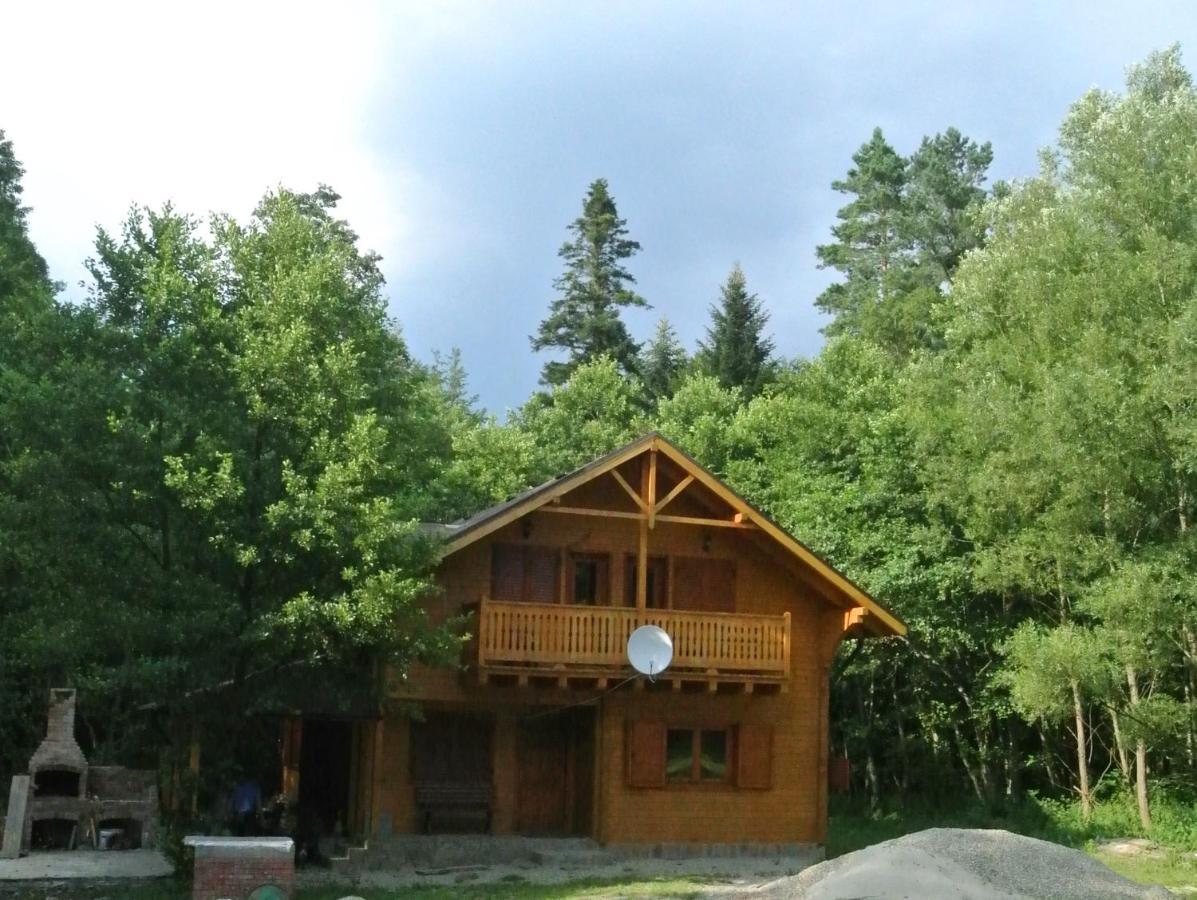 Chalet By The River Valiug Bagian luar foto